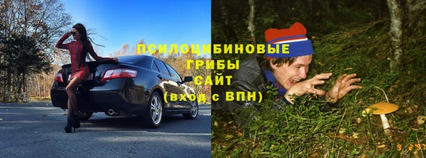 ПСИЛОЦИБИНОВЫЕ ГРИБЫ Вяземский